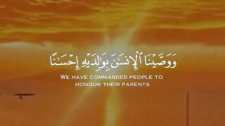 Quran paak Tilawat 2