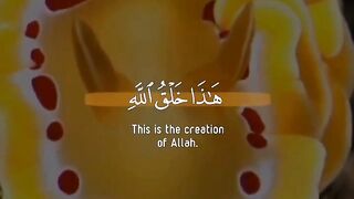 Tilawat e Quran Majeed 9