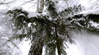 Winter Coat - id | Trending HD Video 4