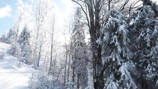 Winterhalter - snow covered mountain and trees under a blue cloudy sky | Trending HD Video