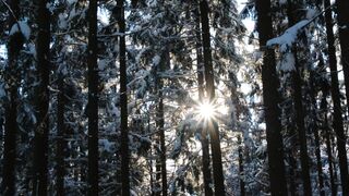 Winter solstice - id | Trending HD Video 12