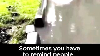 Why the car slowed down so quickly? #piano #funnyreels #car #usa #slowed