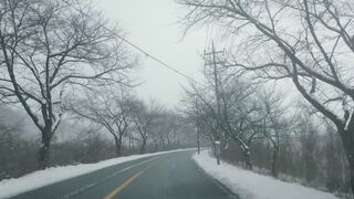 Winter Coat - a car driving down a snowy road with trees on both sides | Trending HD Video 2