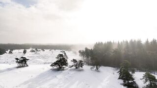 Winterhalter - id | Trending HD Video 10