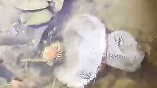 Looking for fish or eel.. Thanks for watching..!! 8