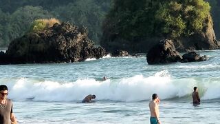 travelite - tranquil beach scene with people enjoying waves | Trending HD Video