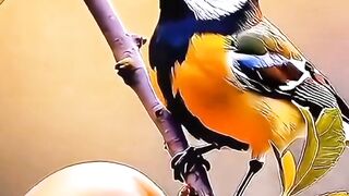 حضرت علی ابن ابی طالبؓ کی سیرت | بہادری، علم اور عدل کی روشن مثال 2