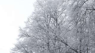 Winter Coat - id | Trending HD Video 9