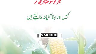 logo ki misaal 2