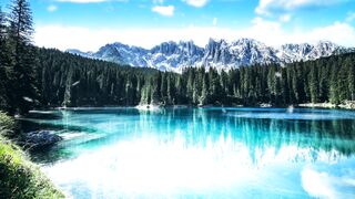 Winterhalter - id | Trending HD Video 12