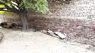 Wonderful Process of Making Wooden Musical Dhol Drum _ How Fantastic Dhol Drum is Made.mp4