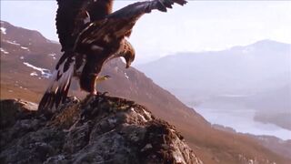 A High Level of Desperation The most heartbreaking music that makes you cry