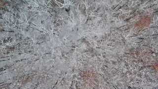 Winterhalter - id | Trending HD Video 13