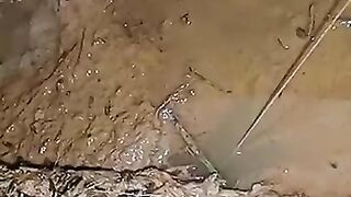 Looking for a fish or eel... Thanks for watching..!! 2
