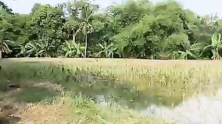 Looking for a fish or eel.. Thanks for watching..!!