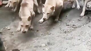 0014_KOT   (๑•ᴗ•๑)