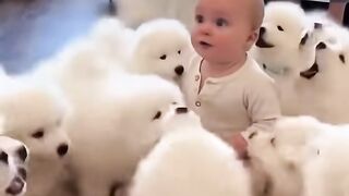 Cute baby in dog happy