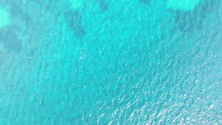 travelite - id | Trending HD Video 40