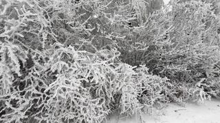 Snow boot - id | Trending HD Video 9