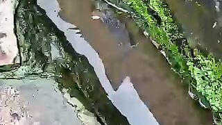 Looking for a fish or eel videos.. Thanks for watching.!!