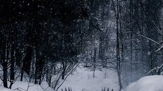 The Shy Snow Woman and the Cursed Ring - snow covered stairs in a winter forest | Trending HD V