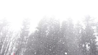 The Shy Snow Woman and the Cursed Ring - id | Trending HD Video 12