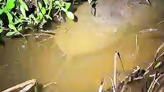 Looking for a fish or eel videos.. Thanks for watching..!! 3