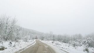 Winter solstice - road through forest in winter | Trending HD Video