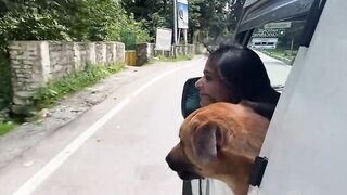 Travelon - himachal pradesh | Trending HD Video