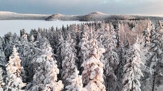 Winter Coat - aerial view of snowy finnish winter wonderland | Trending HD Video