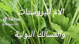 الم البروستات وتنظيف المسالك