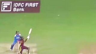 Excellent Funny Cricket