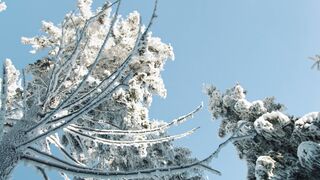 Winterhalter - winter snowboarding in the mountains 3 | Trending HD Video