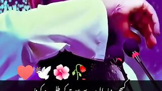 Molana tark jamel ka bayan