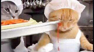 انتي واختك بعد الفطور