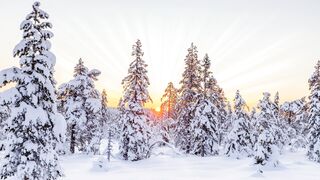 Winter Coat - id | Trending HD Video 17