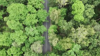 travelite - id | Trending HD Video 55