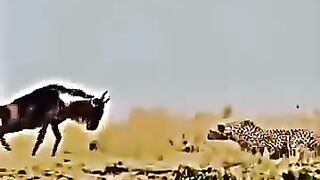 একটু ঘুরে দারান