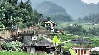 Hamparan sawah terasering Cisalada ????