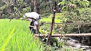 Activities in the countryside