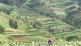 Para petani desa Prampelan Adipuro yang sedang beraktivitas di ladang ditemani panorama alam yang masih begitu asri dan alami