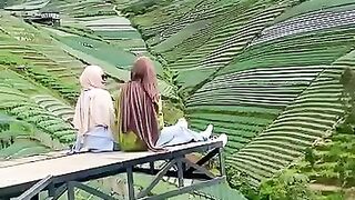 Ladang sayur desa Sukomakmur Magelang yang begitu indah di lereng gunung sumbing