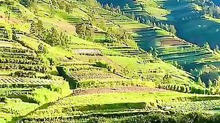 Suasana ladang yang begitu indah  di kaki gunung sumbing Magelang Jawa Tengah