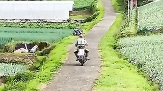 Hamparan hijau yang begitu indah,bagaikan surga tersembunyi di Magelang Jawa Tengah