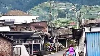 Suasana Desa Kebonlegi yang begitu yang begitu asri di lereng gunung sumbing Kaliangkrek Magelang Jawa Tengah yang begitu indah banget