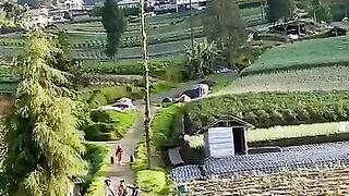 Para petani yang begitu bersemangat bekerja di ladangnya di temani indahnya alam desa di Magelang Jawa Tengah