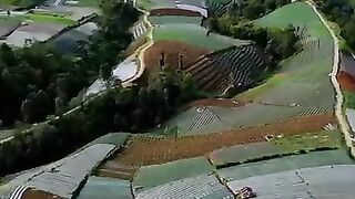 Hamparan perkebunan sayur mayur di Lereng Gunung Sumbing #negerisayur #sukomakmur #magelang