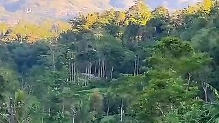 Jalan mulus di pedesaan dengan Pemandangan indah Gunung Sumbing #keindahanalam #gunungsumbing #kaliangkrik #magelang