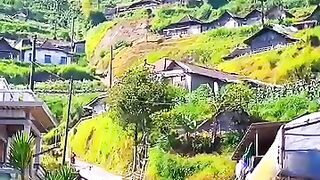 Pemandangan indah Dusun Kesingan, Desa Kenalan, Pakis, Magelang, Jawa Tengah #keindahanalam #gunungmerbabu