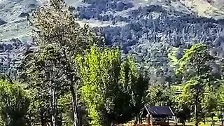 Pemandangan Gunung Sindoro dari Kebun Teh Tambi Wonosobo #kebuntehtambi #gunungsindoro